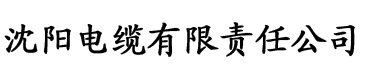 日本大香蕉伊人视频电缆厂logo